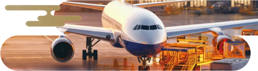 輸出に適している